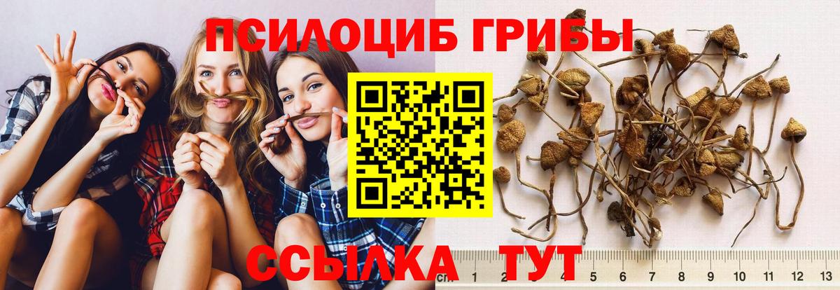 Псилоцибиновые грибы ЛСД  Вход с VPN  Камышин 