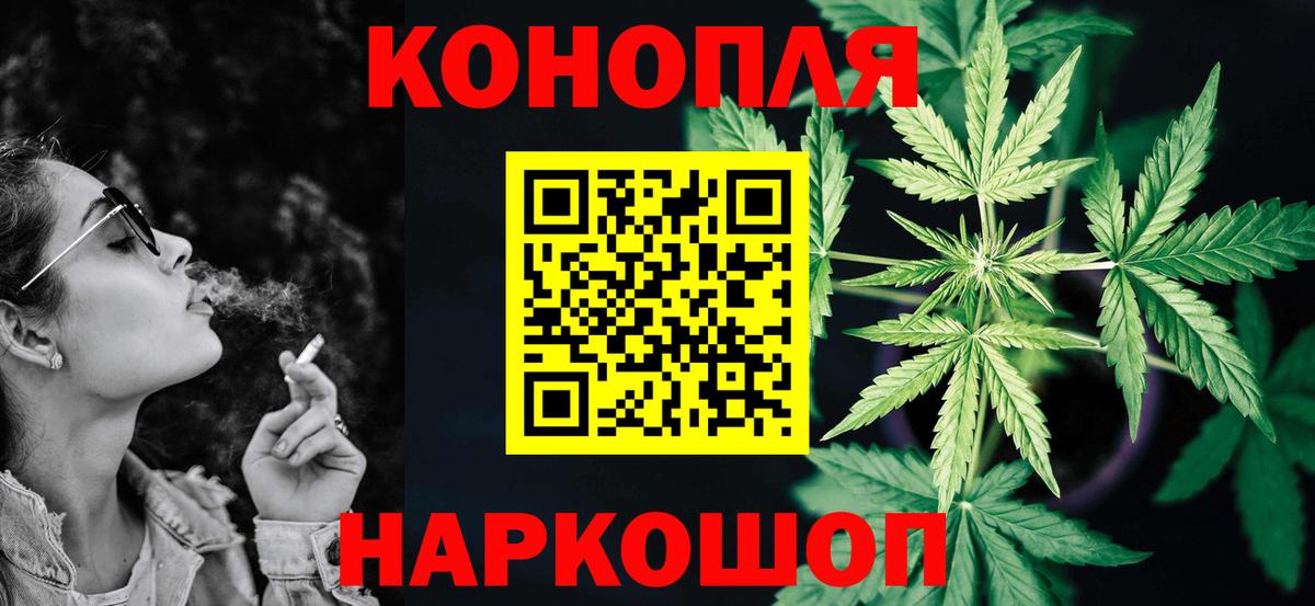 Бошки Шишки конопля Камышин