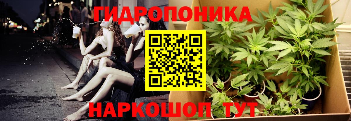 Бошки марихуана семена  Вход с VPN  МАРИХУАНА семена  Камышин 